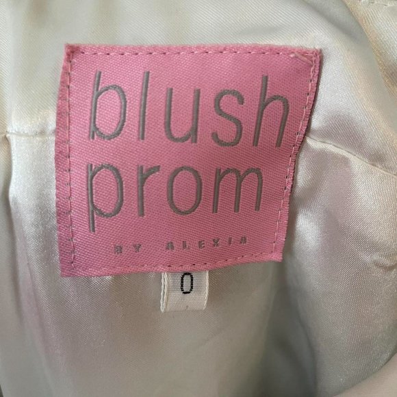 BLUSH PROM BY ALEXIA Prom Dress! - Picture 4 of 5